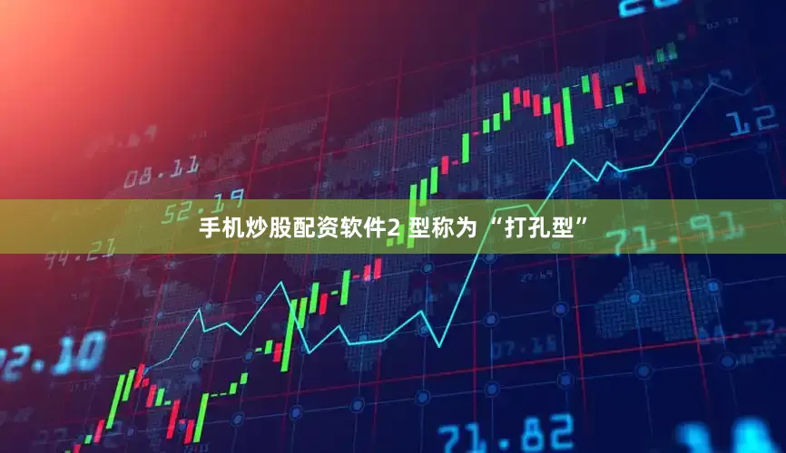 手机炒股配资软件2 型称为 “打孔型”