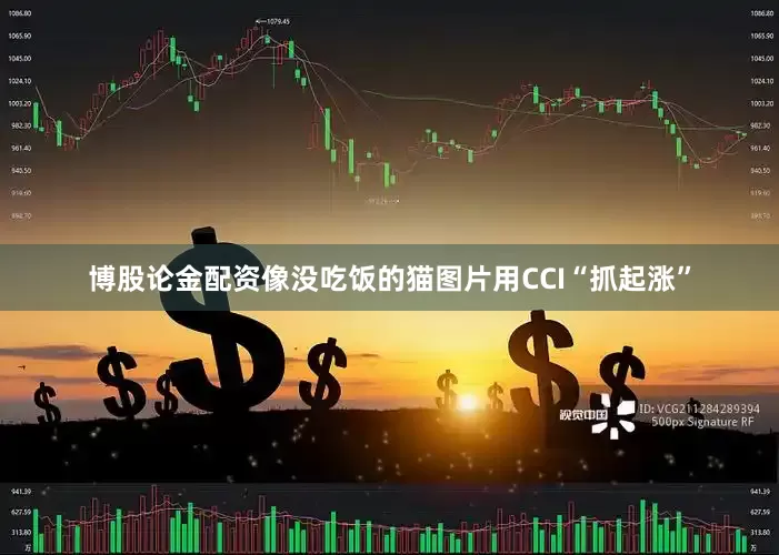 博股论金配资像没吃饭的猫图片用CCI“抓起涨”